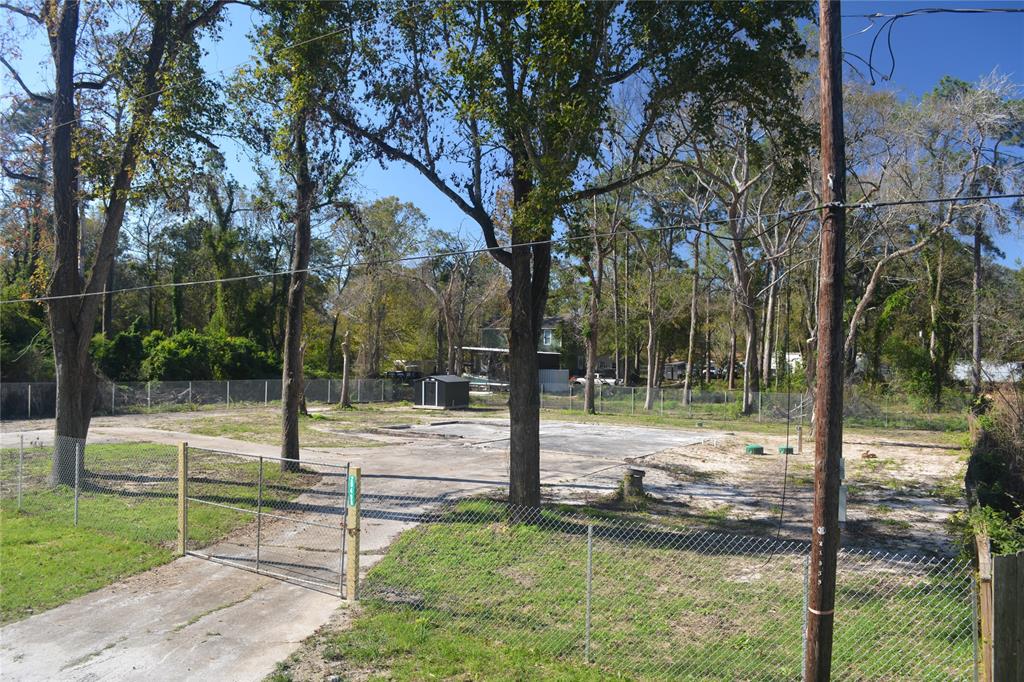 20498 Idle Glen Roadway, New Caney, Texas image 4