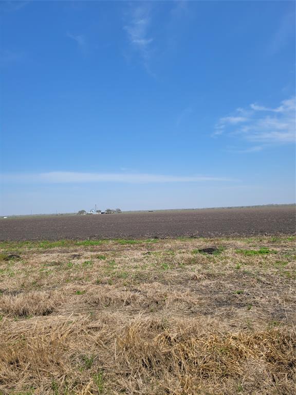 20310 Spruce Forest Drive, Guy, Texas image 3