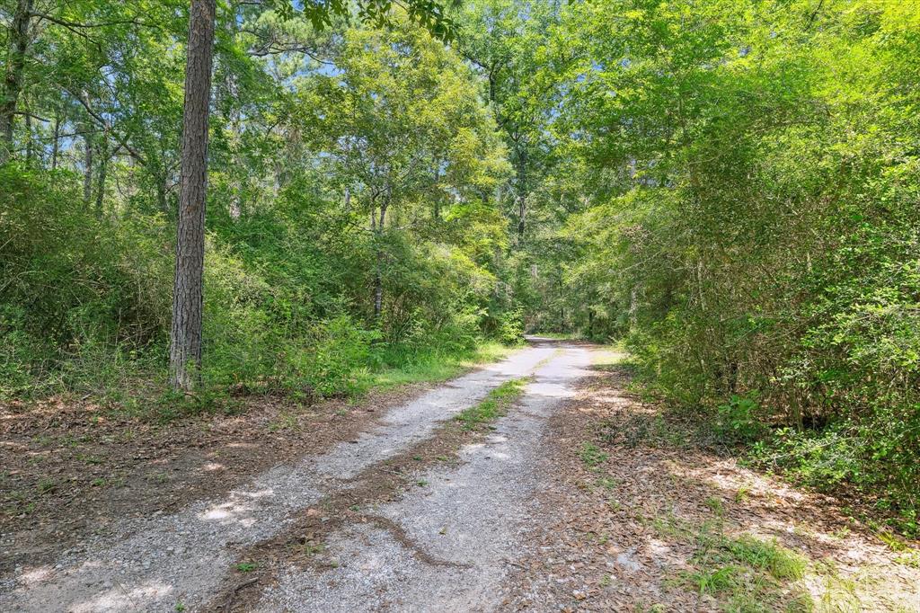 19019 Veterans Road, Magnolia, Texas image 15