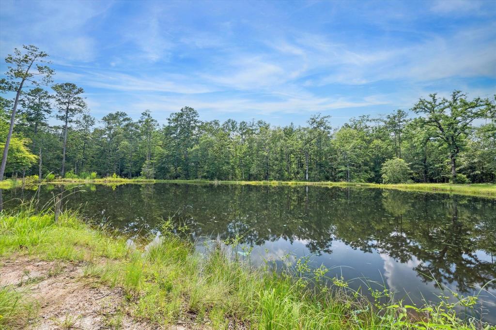 19019 Veterans Road, Magnolia, Texas image 1