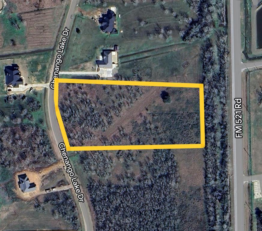 22603 Chenango Lake Dr Dr, Angleton, Texas image 1