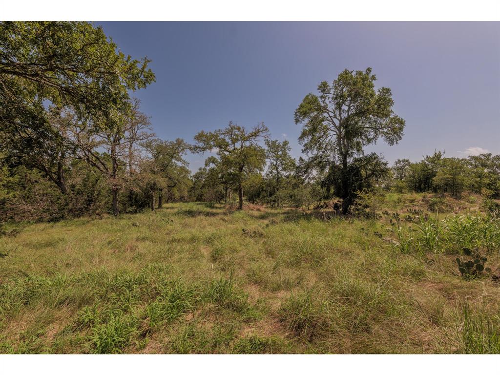 1651 Jdj Drive, New Braunfels, Texas image 38