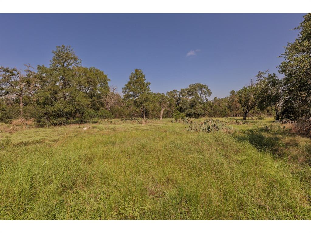 1651 Jdj Drive, New Braunfels, Texas image 19