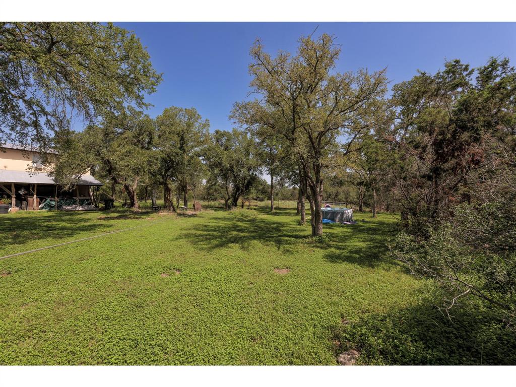 1651 Jdj Drive, New Braunfels, Texas image 16
