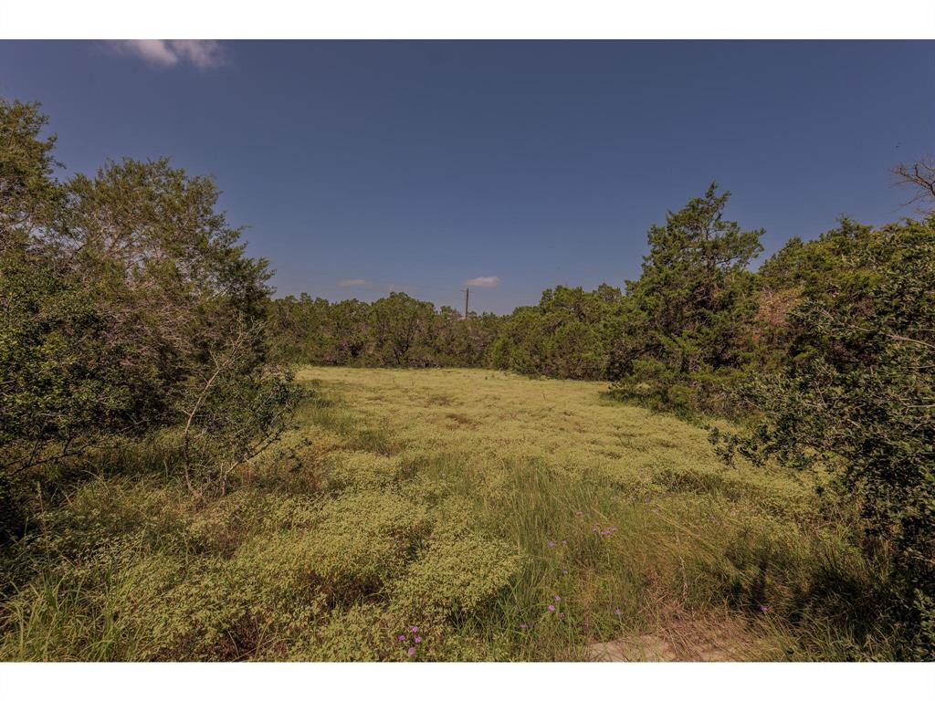 1651 Jdj Drive, New Braunfels, Texas image 36