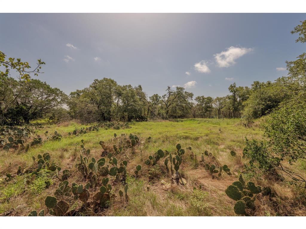 1651 Jdj Drive, New Braunfels, Texas image 23