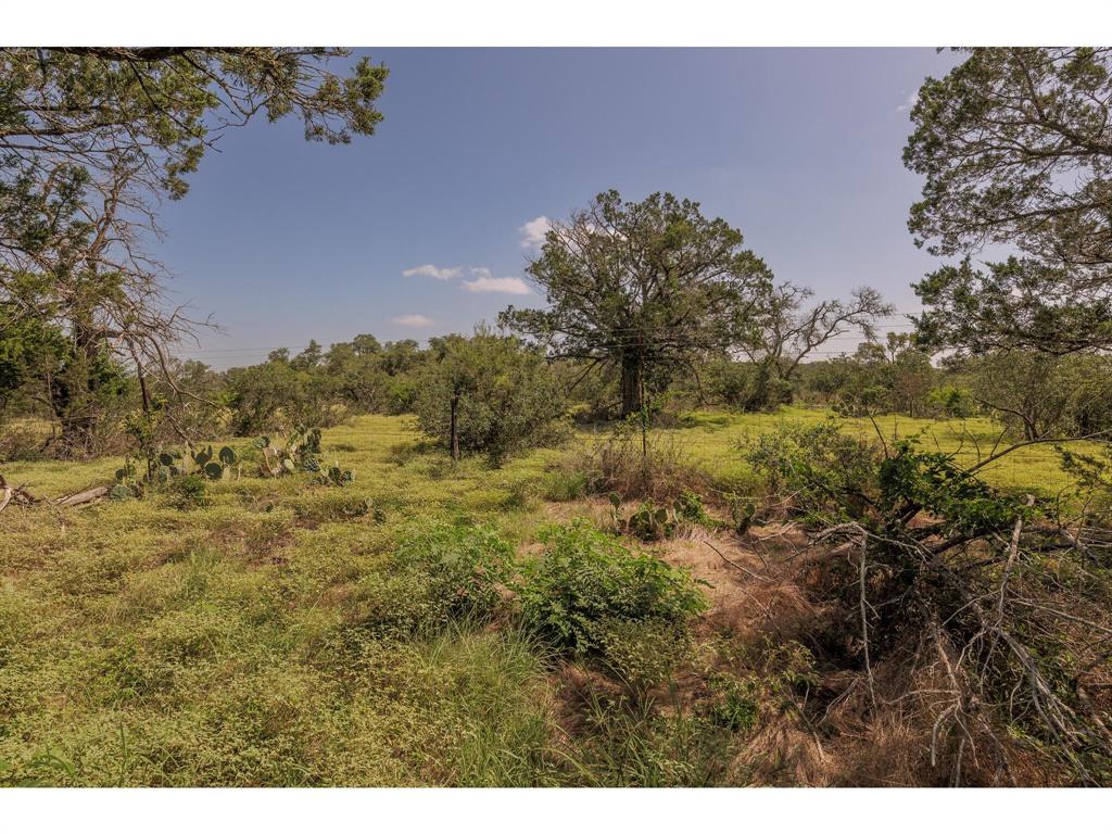 1651 Jdj Drive, New Braunfels, Texas image 21