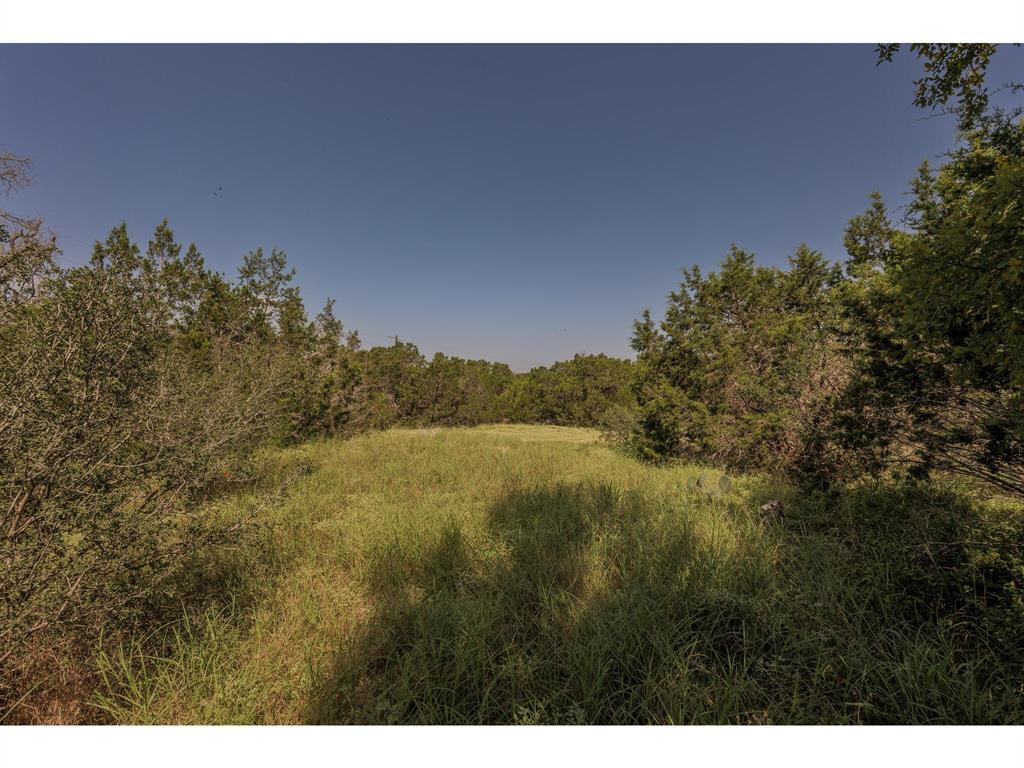 1651 Jdj Drive, New Braunfels, Texas image 24