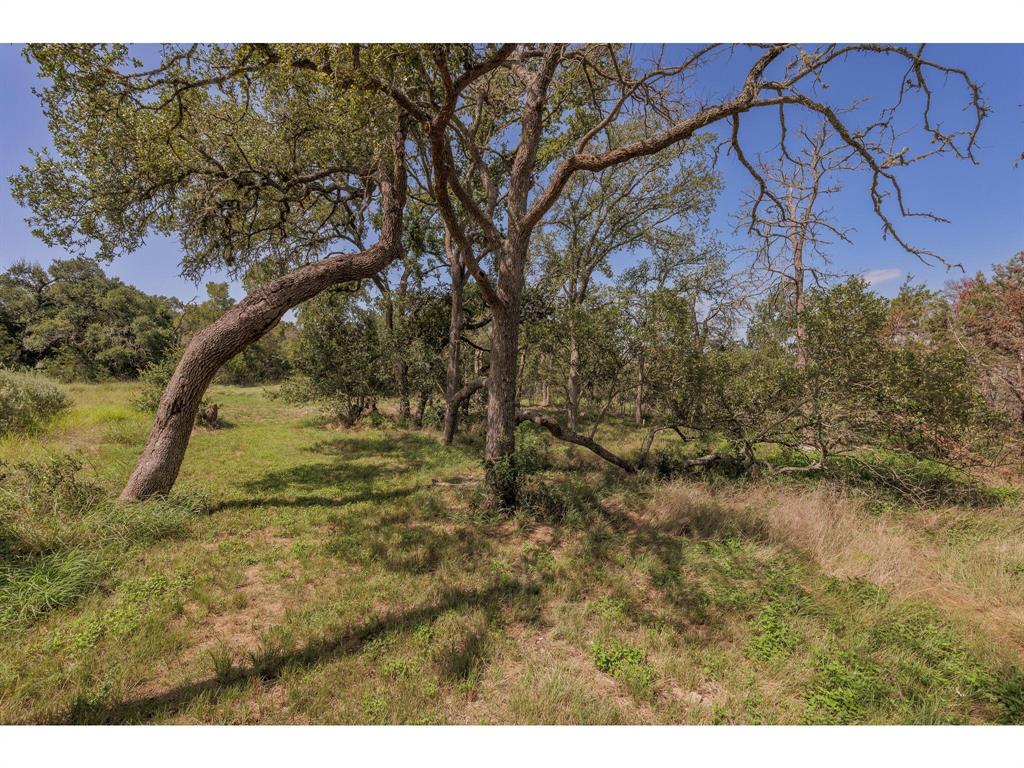 1651 Jdj Drive, New Braunfels, Texas image 26