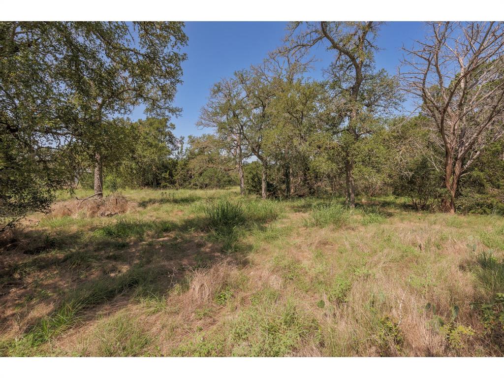 1651 Jdj Drive, New Braunfels, Texas image 22