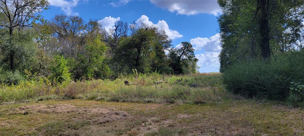 6 Lot Edmiston Drive, Crockett, Texas image 8