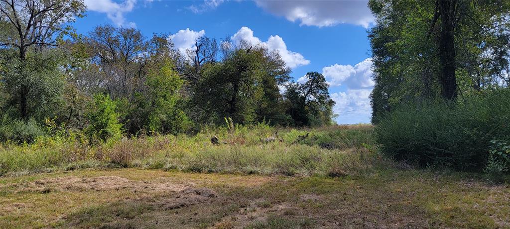 6 Lot Edmiston Drive, Crockett, Texas image 7