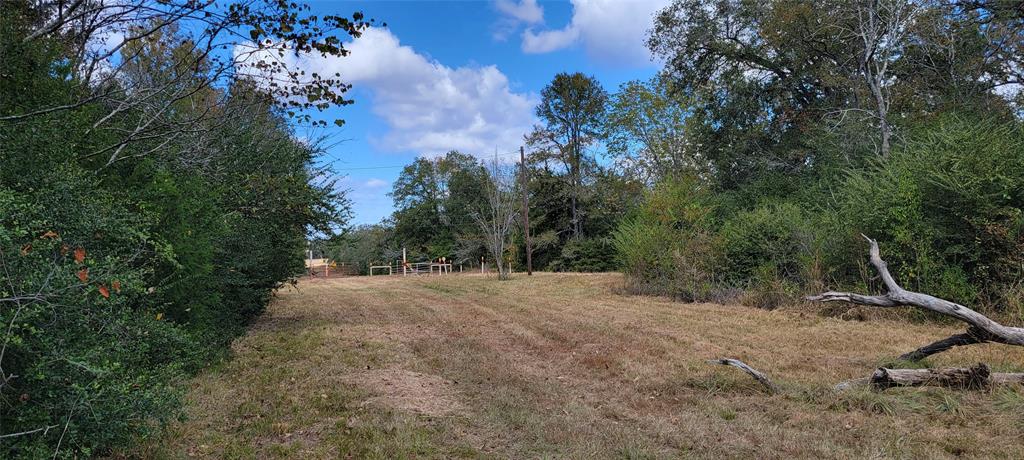 6 Lot Edmiston Drive, Crockett, Texas image 10