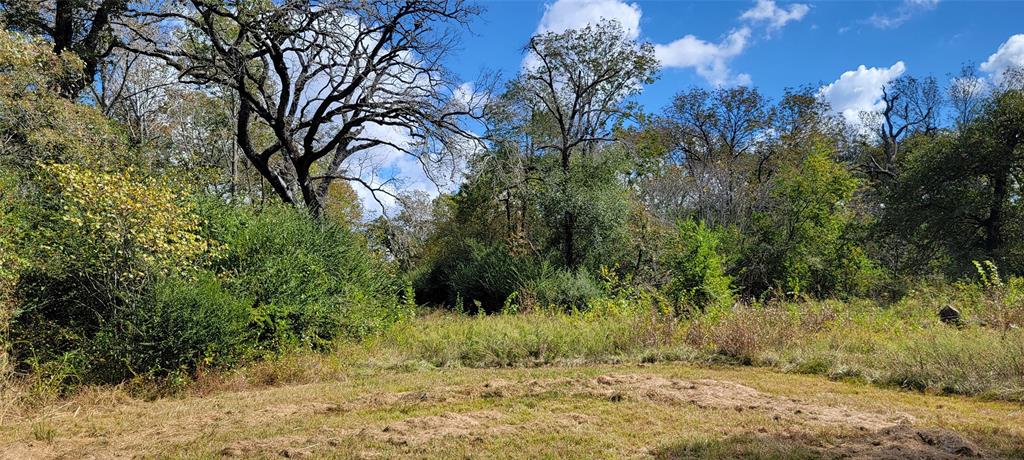 6 Lot Edmiston Drive, Crockett, Texas image 6