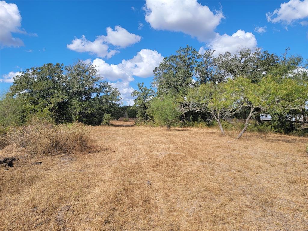 Cr 420, Nixon, Texas image 6