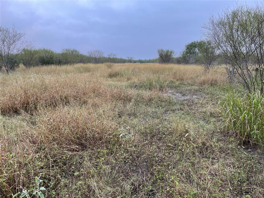 Photo 16 of 31 of TRACT 5 County Road 409 land