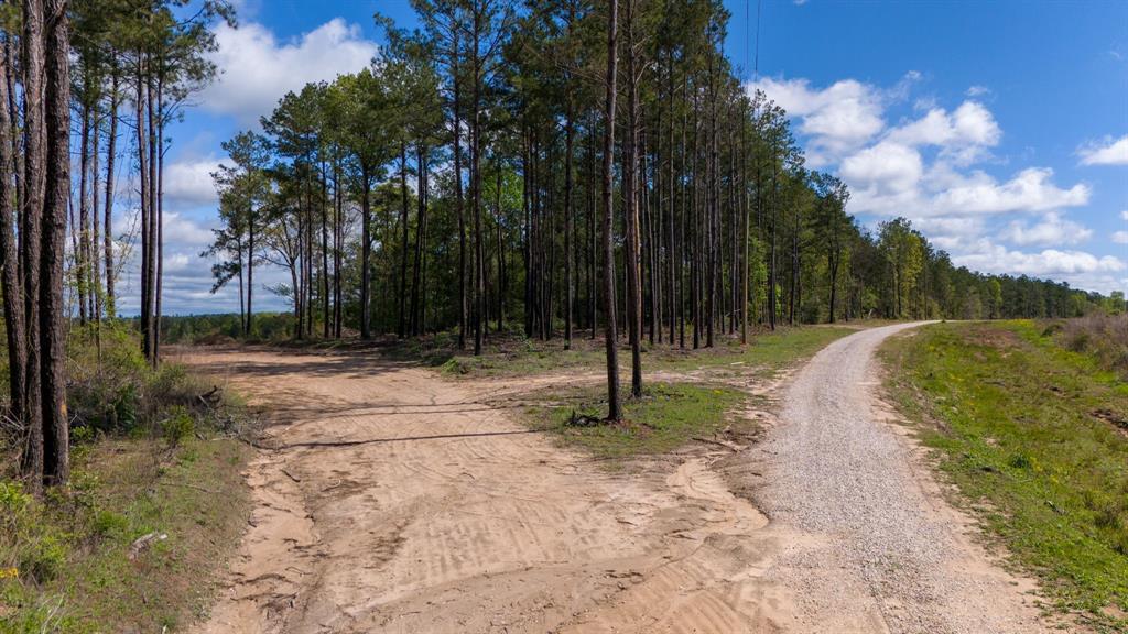 N Old Israel Road, Livingston, Texas image 12