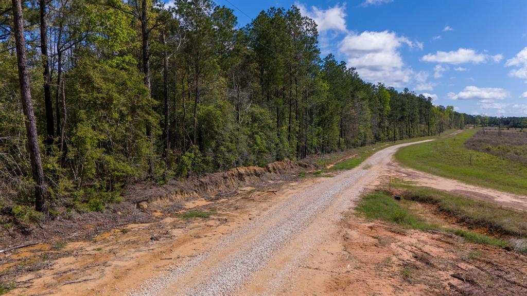 N Old Israel Road, Livingston, Texas image 14