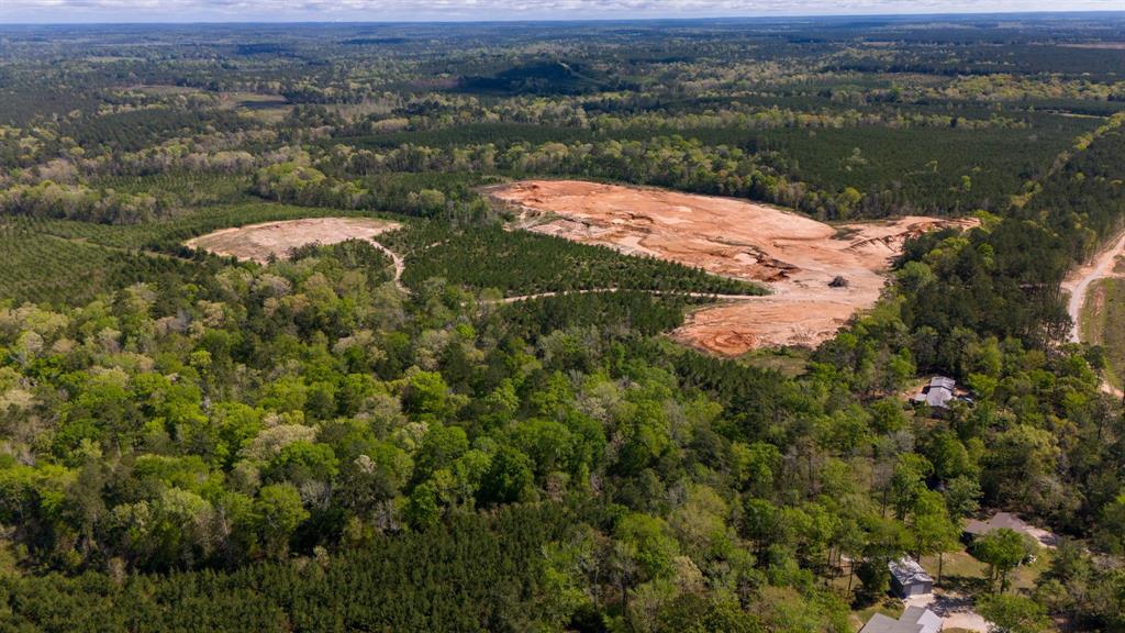 N Old Israel Road, Livingston, Texas image 6