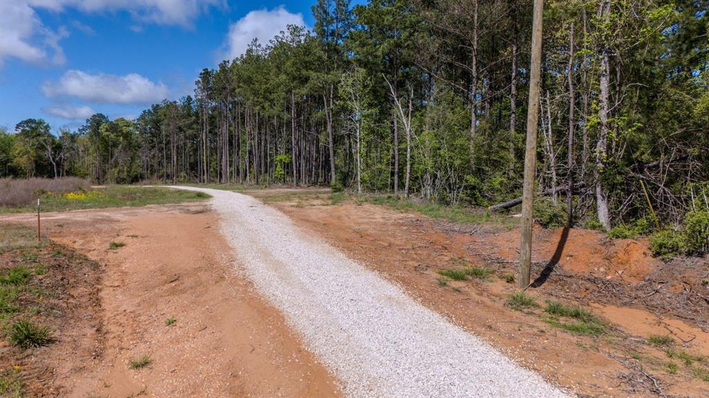 N Old Israel Road, Livingston, Texas image 15