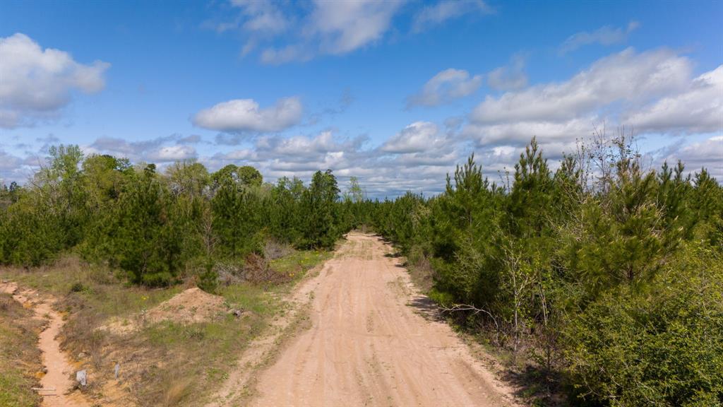 N Old Israel Road, Livingston, Texas image 13