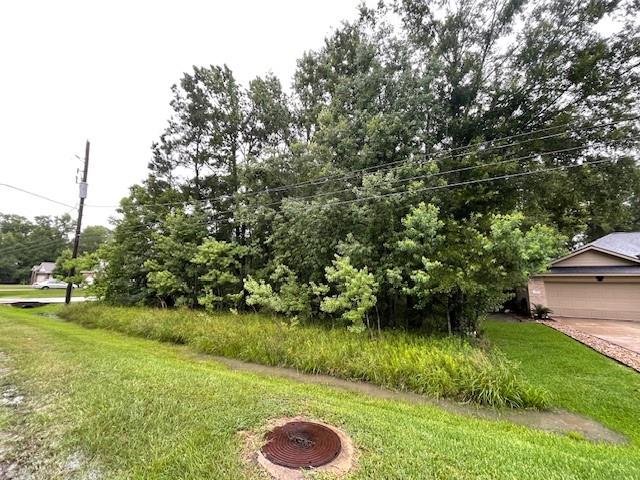 818 Wiley Drive