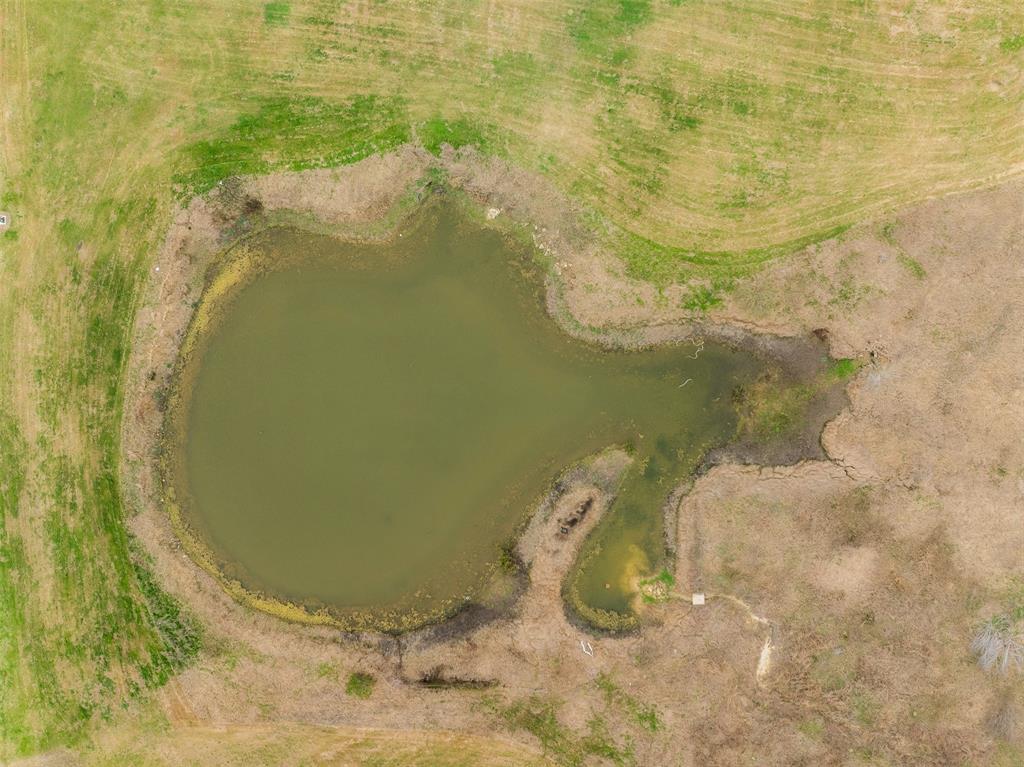 109 Winn Haven, Round Top, Texas image 10