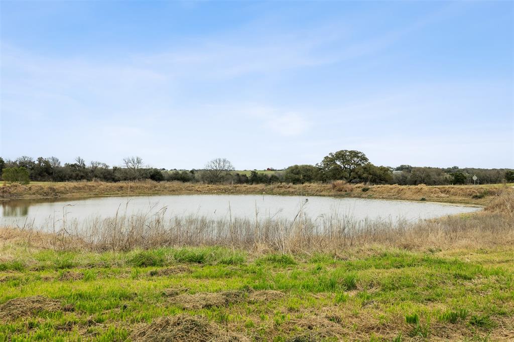 109 Winn Haven, Round Top, Texas image 5