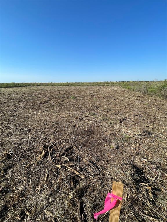 LOT 171 County Road 299 - Heron Street, Sargent, Texas image 9
