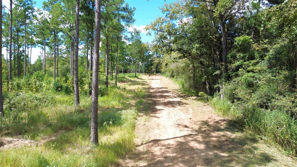 TBD Cr 4020, Crockett, Texas image 6