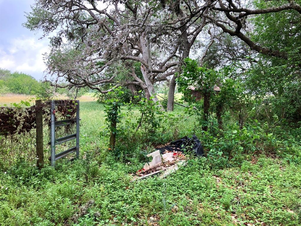 233 Green Dewitt Road, Cuero, Texas image 5