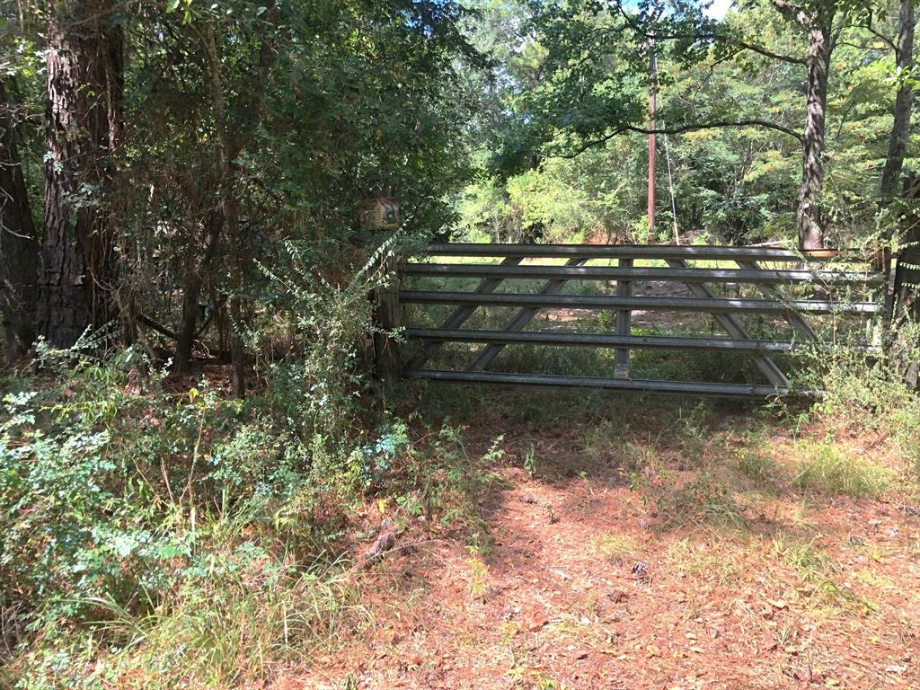 Tract 3.1 Sylvia Trail, Coldspring, Texas image 5