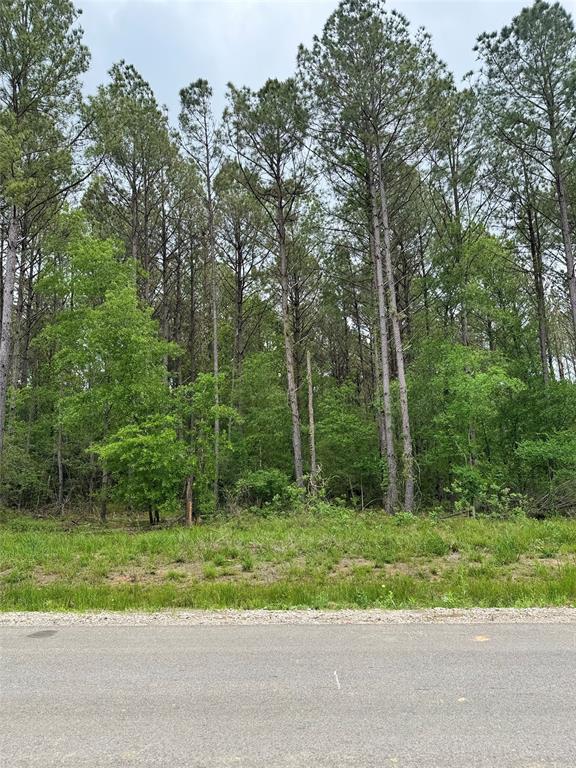 1282 Road 6604, Dayton, Texas image 6