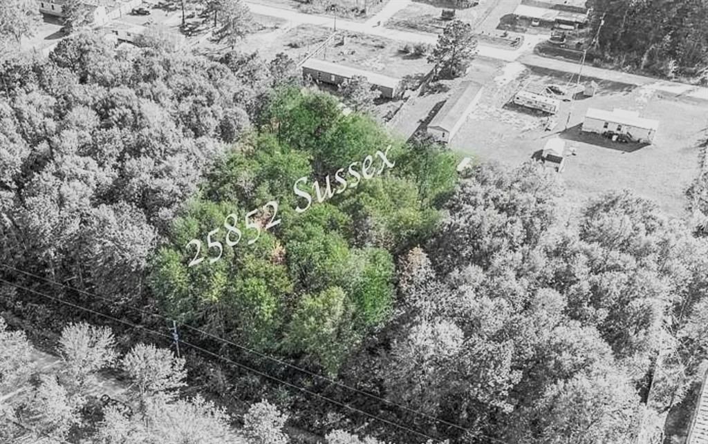 Photo of 25852 Sussex, New Caney, TX 77357 (MLS # 74527273)
