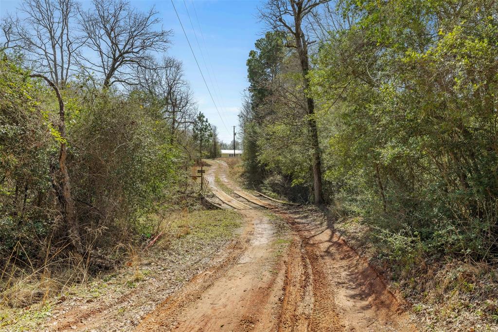 6671 Cotton Street, Bedias, Texas image 7