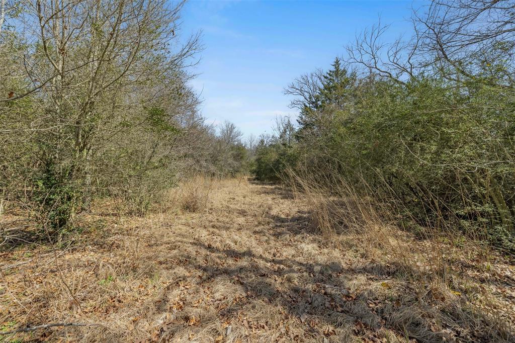 6671 Cotton Street, Bedias, Texas image 12
