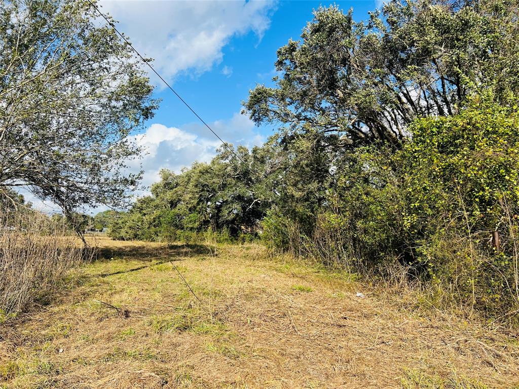 County Rd 219, Angleton, Texas image 2