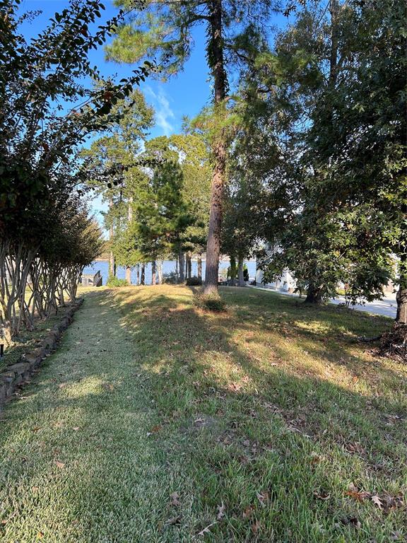 19956 Crescent Court, Montgomery, Texas image 3
