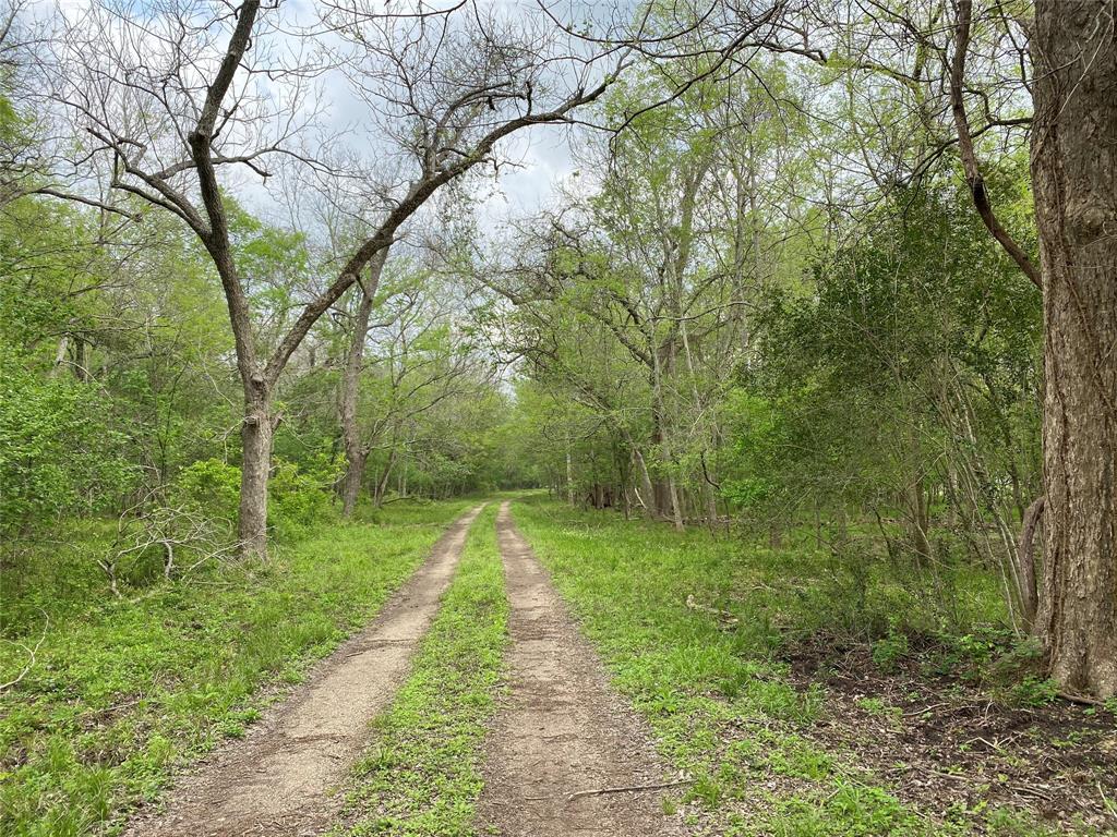 1950 Hagerson Road, Sugar Land, Texas image 5