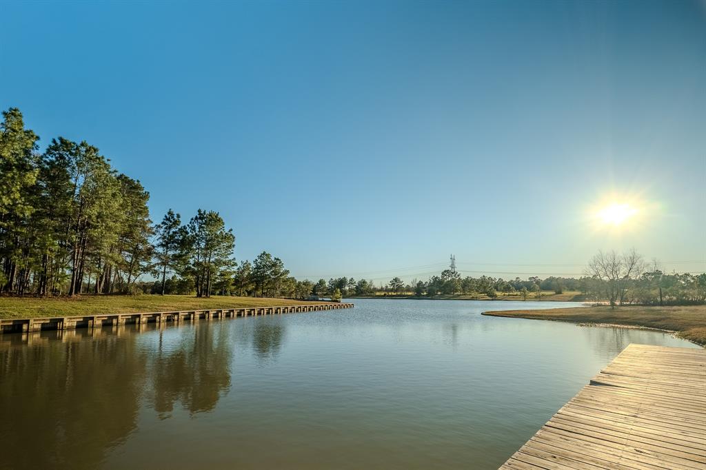 12110 Rainy Oaks Drive, Magnolia, Texas image 44