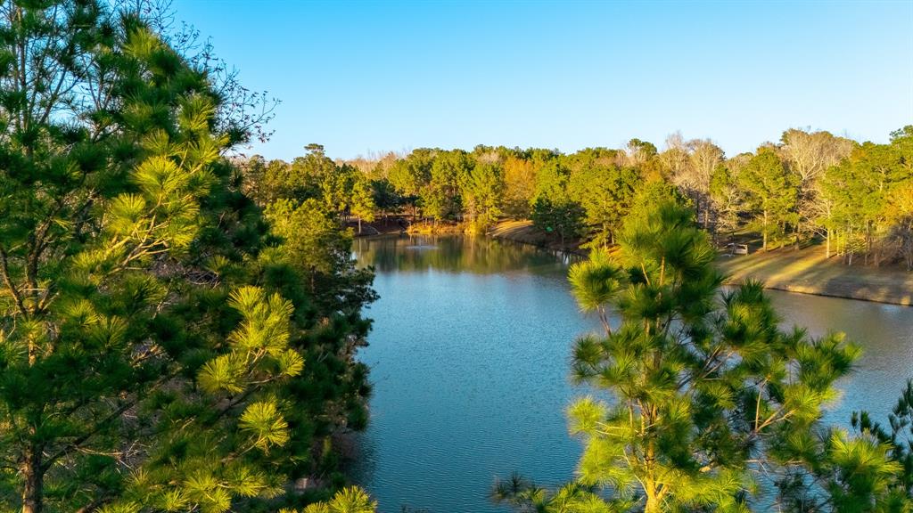 12110 Rainy Oaks Drive, Magnolia, Texas image 42