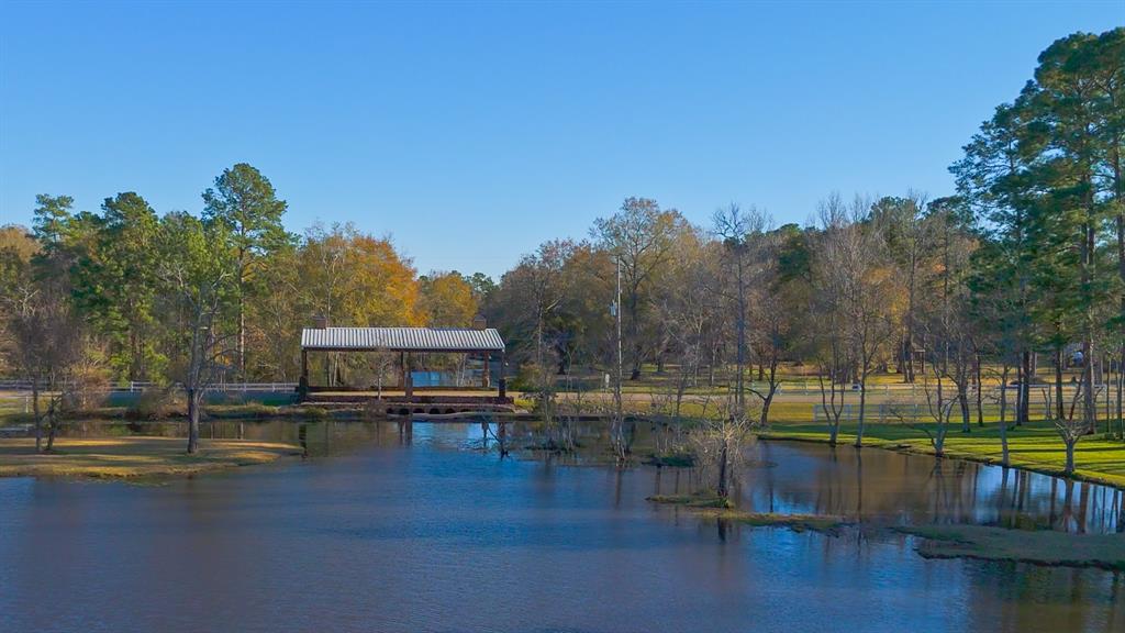 12110 Rainy Oaks Drive, Magnolia, Texas image 45