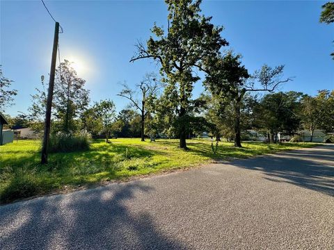 Photo of 307 Harding Avenue, Cleveland, TX 77327 (MLS # 13295914)