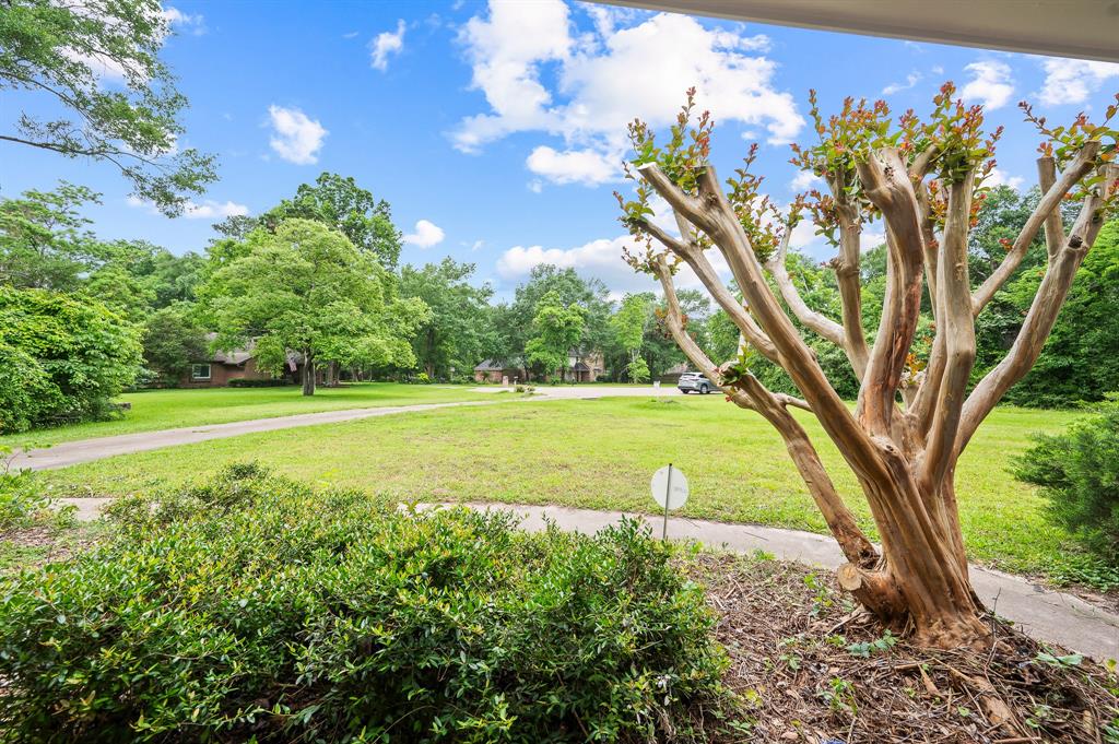 14402 Cypress Oaks Drive
