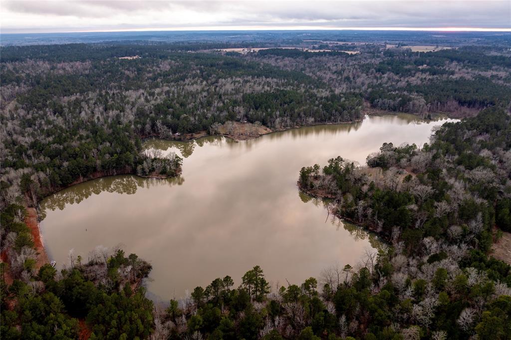 337 Pr 5210, Grapeland, Texas image 3