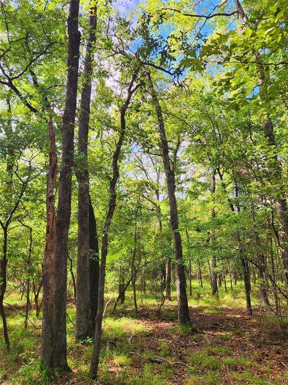 7376 Quail Hollow Court, Larue, Texas image 35