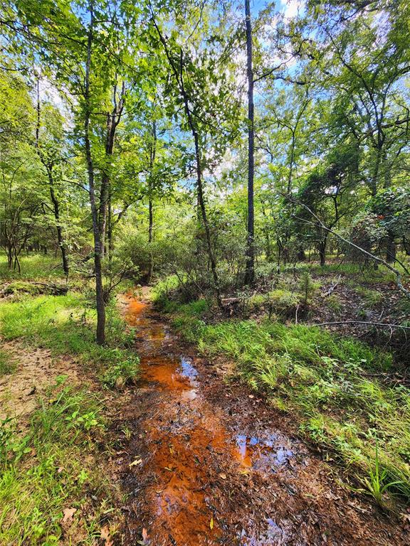 7376 Quail Hollow Court, Larue, Texas image 43