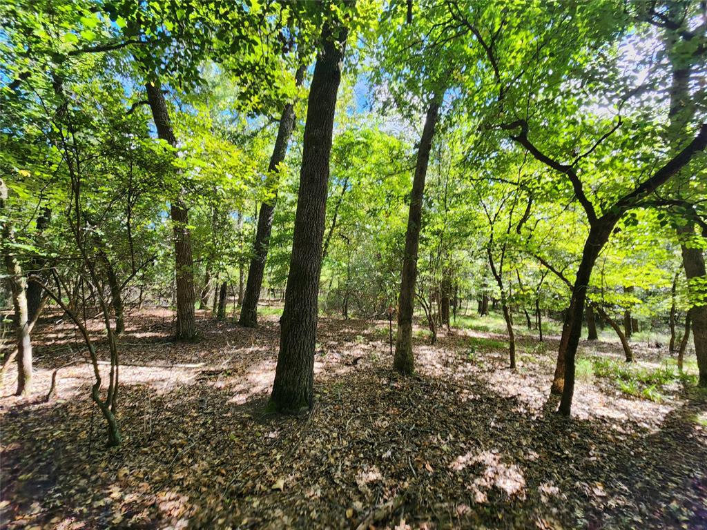 7376 Quail Hollow Court, Larue, Texas image 7