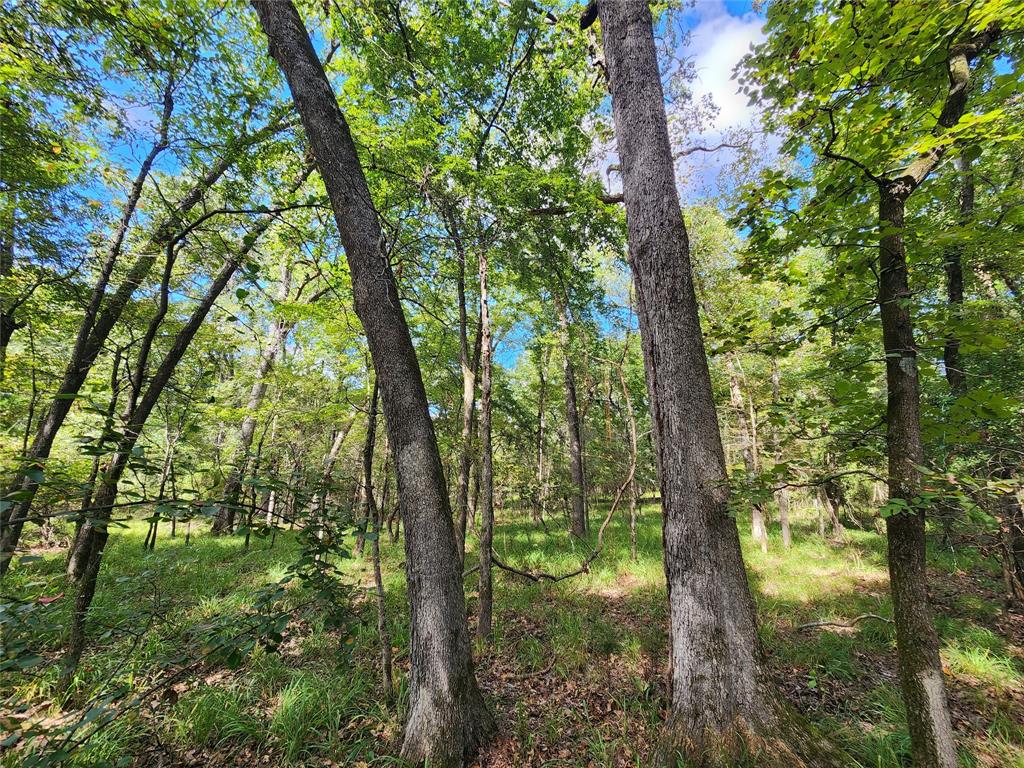 7376 Quail Hollow Court, Larue, Texas image 36