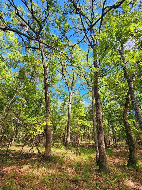 7376 Quail Hollow Court, Larue, Texas image 40